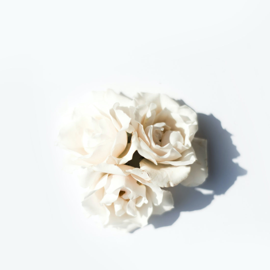 Understanding White Balance in Photography