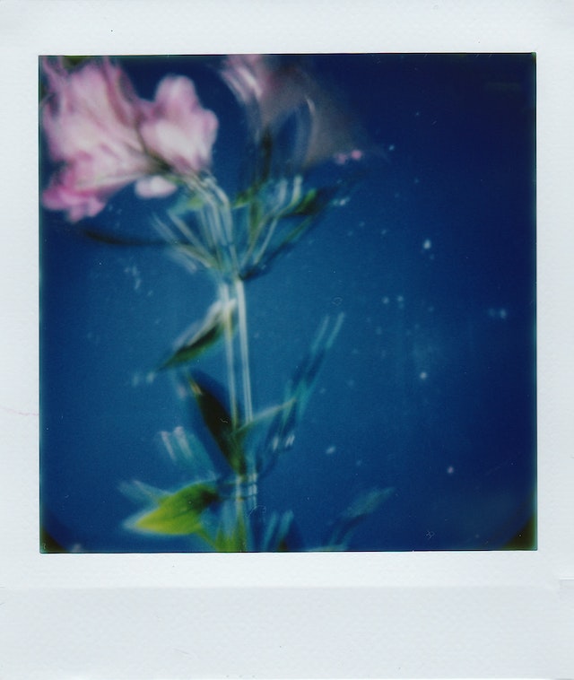 Printing a Low-Resolution Photo
