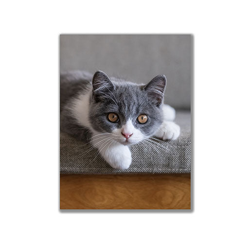 24" x 18" Portrait Canvas Print